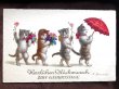 画像4: Postcard　4匹の子猫たち　Wally Fialkowska ドイツ1933年 (4)