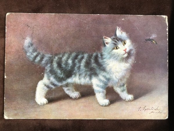 画像2: Postcard 蜂と猫 イギリス1912年 (2)