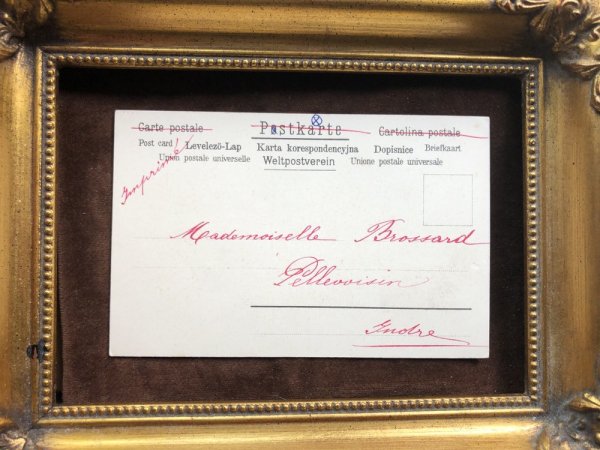 画像5: Postcard 猫車 Helena Maguire  (5)