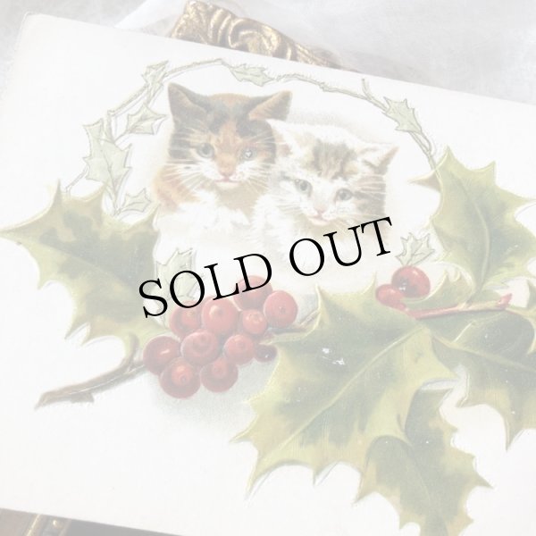 画像1: Postcard　クリスマス　2匹の猫　三毛猫　キジトラ白　Helena Maguire (1)