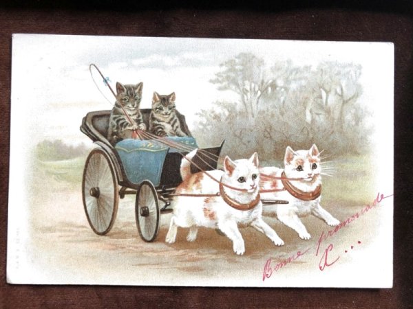 画像3: Postcard 猫車 Helena Maguire  (3)