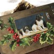 画像1: Postcard　クリスマス　スパニエル犬　Helena Maguire (1)