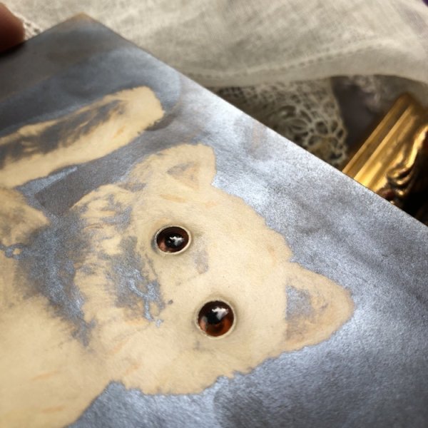 カードの内部にアンバー色の目が埋め込まれています