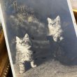 画像1: Postcard　ブーツと猫　Puss in Boots　長靴をはいた猫　イギリス1903年 (1)