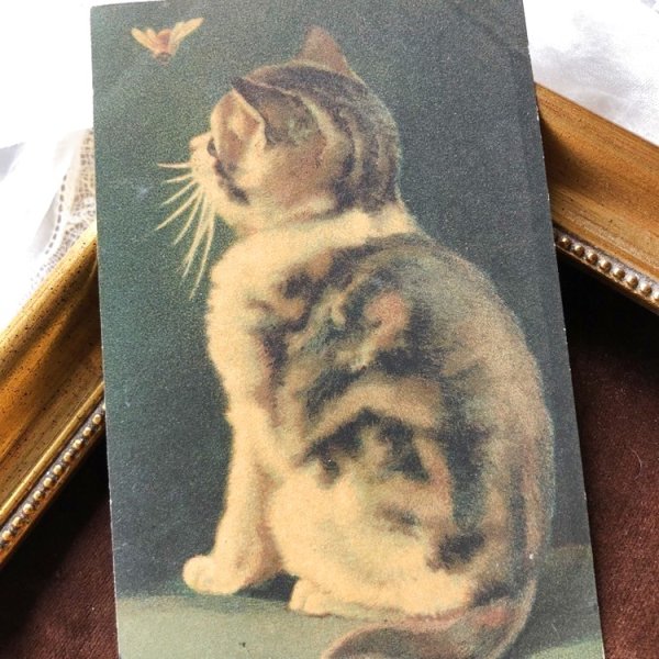 画像1: Postcard　蝶々を見つめる猫　ドイツ1916年 (1)