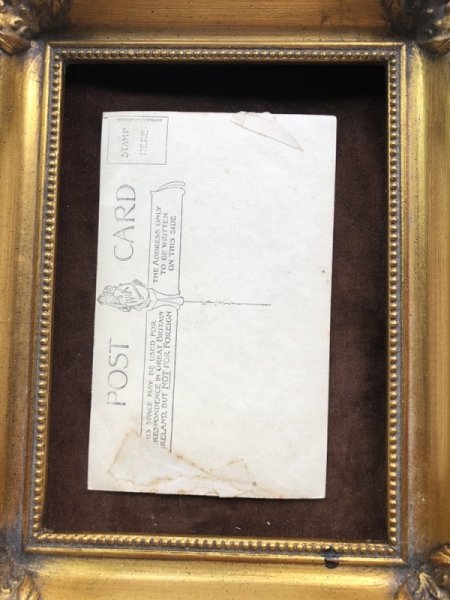 画像3: ▼SALE 500▼ Postcard  梯子の上の5匹の子猫たち  (3)