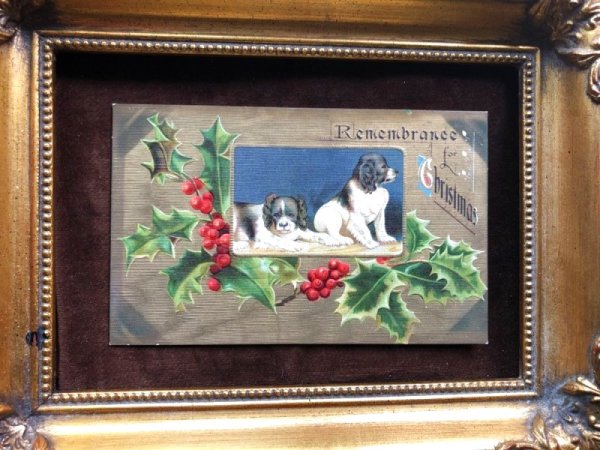 画像2: Postcard　クリスマス　スパニエル犬　Helena Maguire (2)