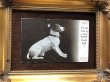 画像2: Postcard　テリア犬　イギリス1903年　 (2)