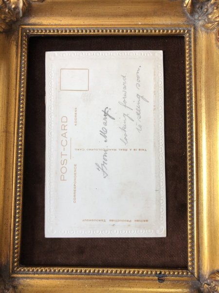 画像3: Postcard　4匹のワイヤーフォックステリア犬の子犬　イギリス (3)