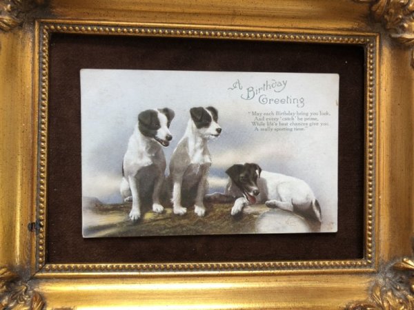 画像2: ▼SALE 500▼ Postcard  ジャックラッセルテリア犬 (2)