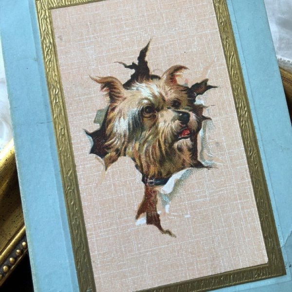 画像1: Postcard　壁の中から顔を出したテリア犬 (1)