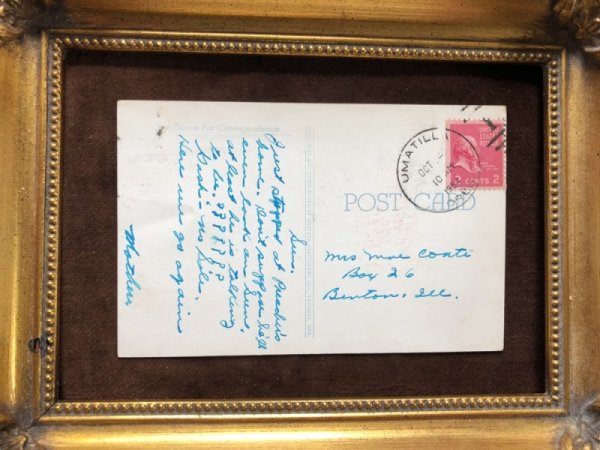 画像3: ▼SALE 500▼ Postcard  木に巻き付いたダックスフンド犬 アメリカ1954年 (3)