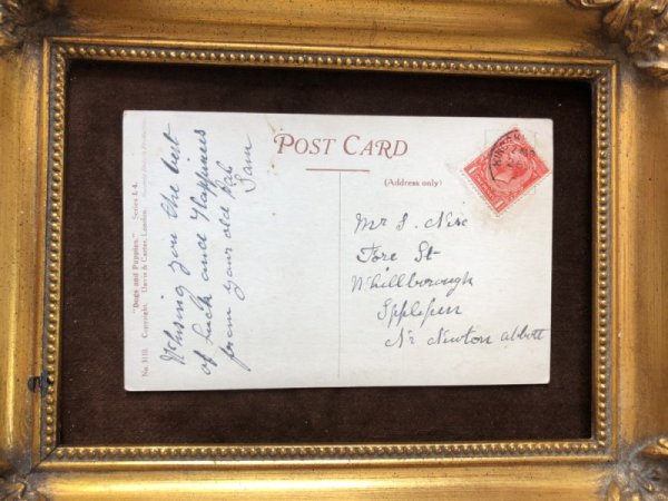 画像3: ▼SALE 500▼ Postcard  ジャックラッセルテリア犬 (3)