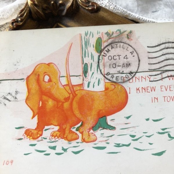 画像1: ▼SALE 500▼　Postcard  木に巻き付いたダックスフンド犬　アメリカ1954年 (1)