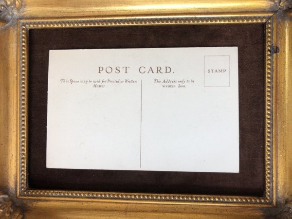 画像4: Postcard ボルドー・マスティフ犬 TURK(未使用) (4)