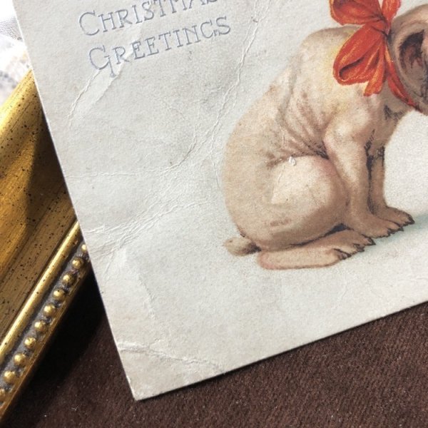 多数の折れあり