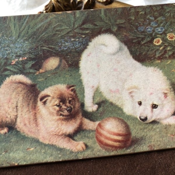 画像1: Postcard　ボールで遊ぶポメラニアン犬　パネルカード　（未使用） (1)