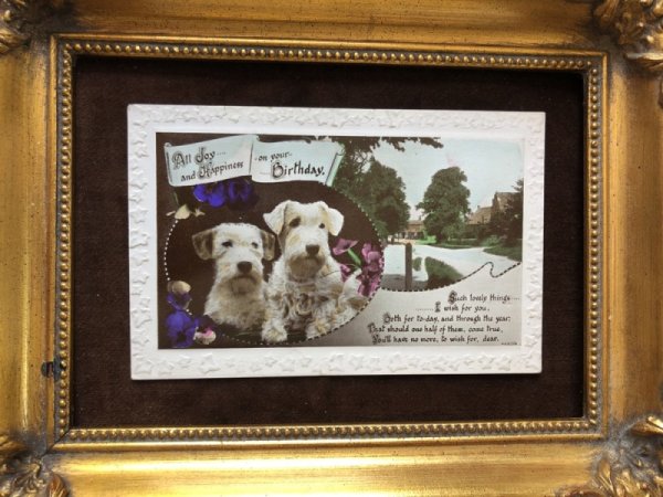 画像2: Postcard シリハムテリア イギリス (2)