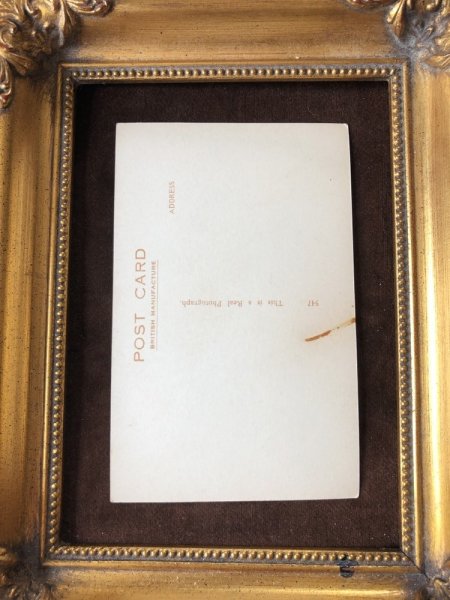 画像3: Postcard 芸をするテリア犬  (3)