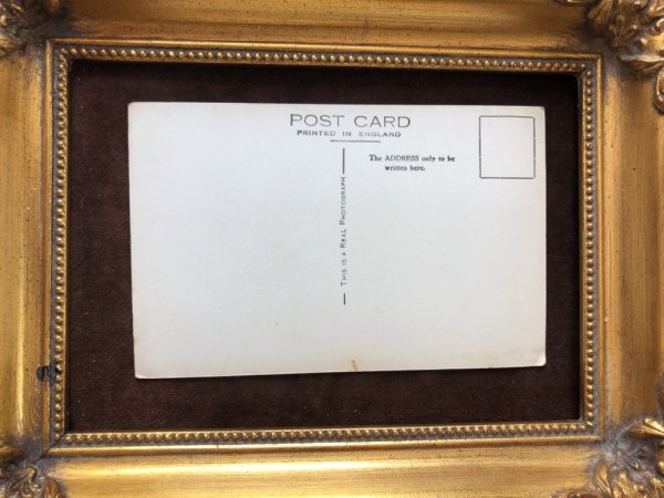 画像3: Postcard　イングリッシュ・スプリンガー・スパニエル犬　写真 (3)