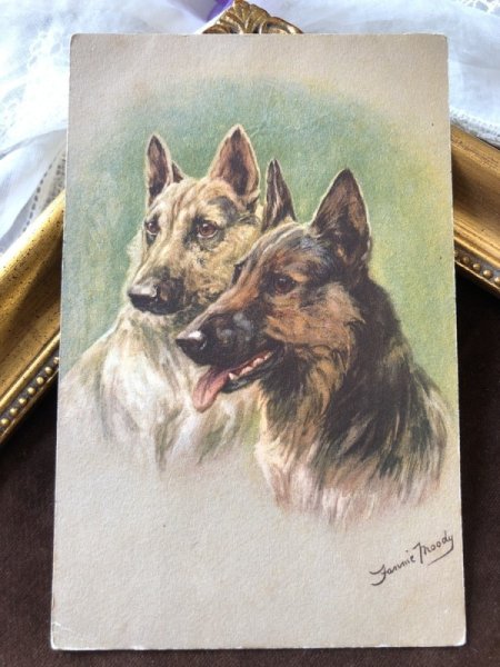 画像2: Postcard ジャーマンシェパード犬  (2)