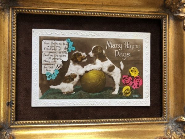 画像2: Postcard ワイヤーフォックステリア犬の子犬 イギリス1936年 (2)