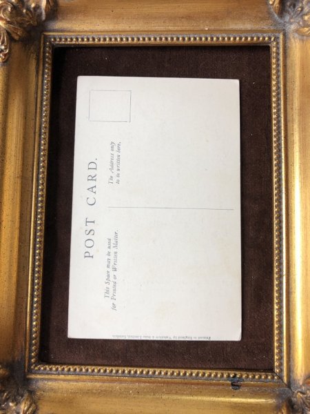 画像3: Postcard キリン (未使用) (3)