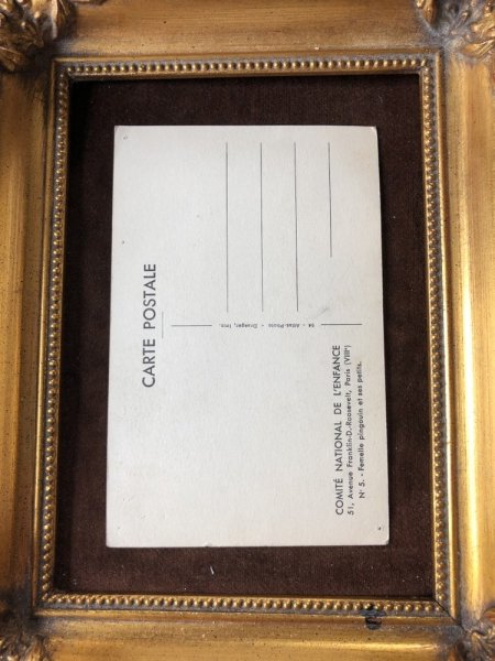 画像3: ▼SALE 500▼ Postcard  ペンギンの親子 (3)