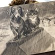 画像1: Postcard　救助を待つダックスフンド犬と猫　イギリス1906年　パネルカード (1)