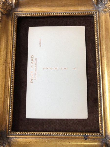 画像3: Postcard　テリア犬　写真　（未使用） (3)