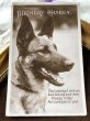 画像2: Postcard　ジャーマンシェパード犬　イギリス1933年 (2)