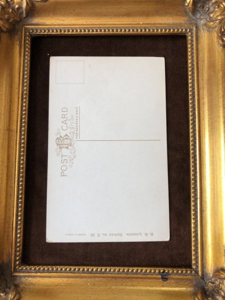 画像3: Postcard マスティフ犬 (未使用) (3)