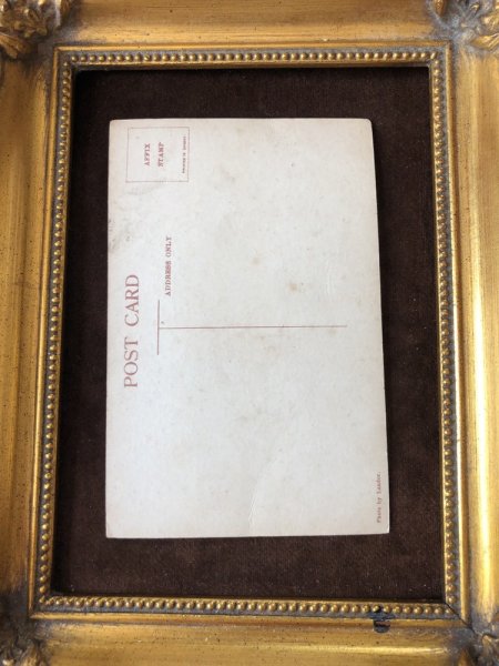 画像4: ▼SALE 500▼ Postcard  プードルの子犬たち  (4)