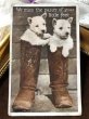 画像2: Postcard　ブーツの中のウェスティ犬の子犬　イギリス1934年 (2)