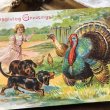画像1: Postcard　七面鳥とダックスフンド犬　感謝祭　サンクスギビング　アメリカ1907年 (1)