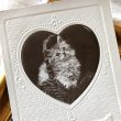 画像1: Postcard　バスケットの子猫　ハート　イギリス1910年 (1)