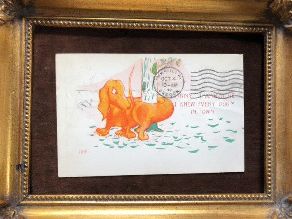 画像2: ▼SALE 500▼ Postcard  木に巻き付いたダックスフンド犬 アメリカ1954年 (2)