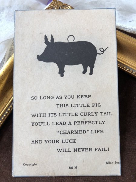 画像2: ▼SALE 500▼ Postcard  黒い豚さん イギリス1923年 (2)