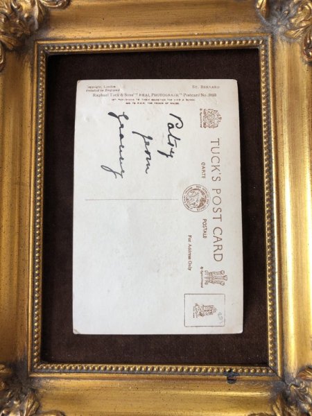 画像3: Postcard セントバーナード犬 写真 (3)