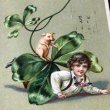 画像1: Postcard　聖パトリックデー　四葉クローバーと子豚と男の子 (1)