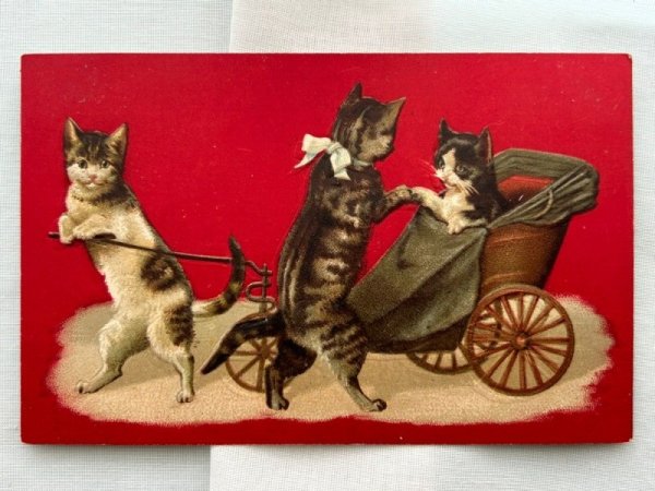 画像1: Postcard  　アンティークポストカード　猫リキシャ　挨拶をする猫たち　Helena Maguire　1908年 (1)