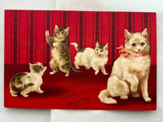 Maguireの猫たち | アリスアンティークスブログ
