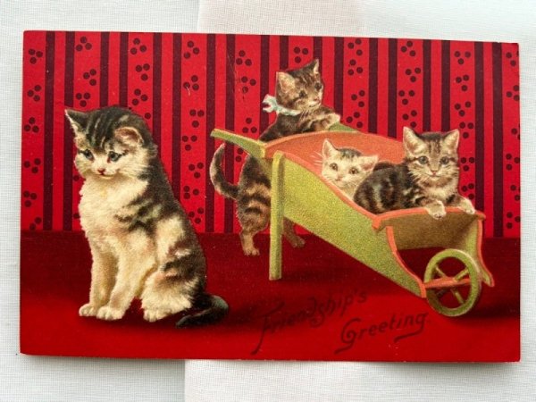 画像1: Postcard  　アンティークポストカード　一輪車で遊ぶ猫たち　Helena Maguire　1908年 (1)