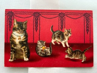 猫のクロモス (12) Helena Maguire 6枚セット◇W17 フランス