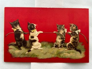 Snowdrop Postcards アンティークポストカード専門店 < Helena