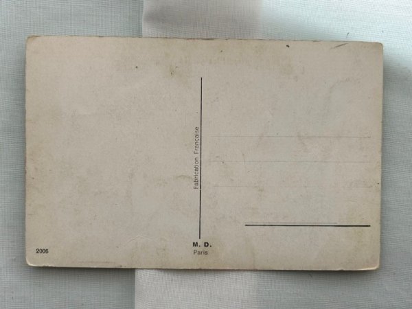 画像2: Postcard  　アンティークポストカード　猫の自転車競走　フランス　（未使用） (2)