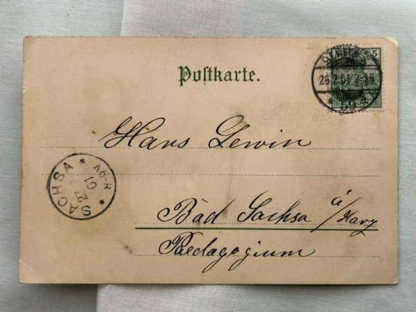 画像3: Postcard  　アンティークポストカード　アコーディオンを弾く犬たち　Helena Maguire　1901年 (3)