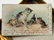 画像2: Postcard  　アンティークポストカード　猫の家族と煙草 (2)