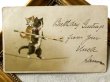 画像2: Postcard  　アンティークポストカード　猫の軽業師　曲芸　綱渡り　Helena Maguire　 (2)
