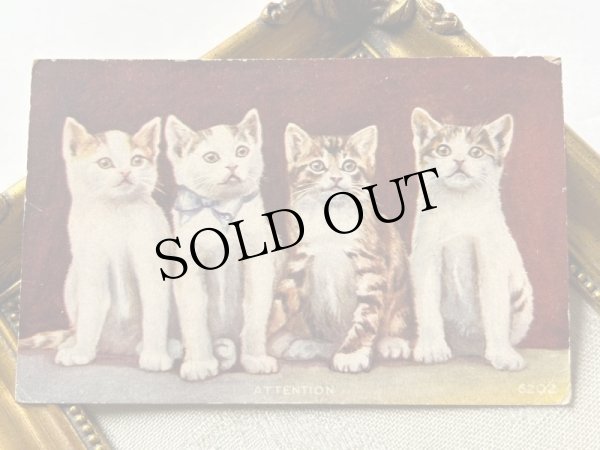 画像2: Postcard　アンティークポストカード  子猫　（未使用） (2)